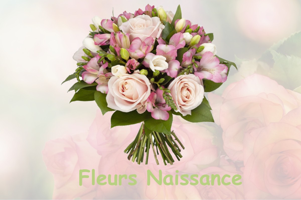 fleurs naissance ROMANGE