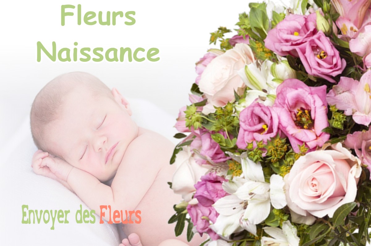 lIVRAISON FLEURS NAISSANCE à ROMANGE